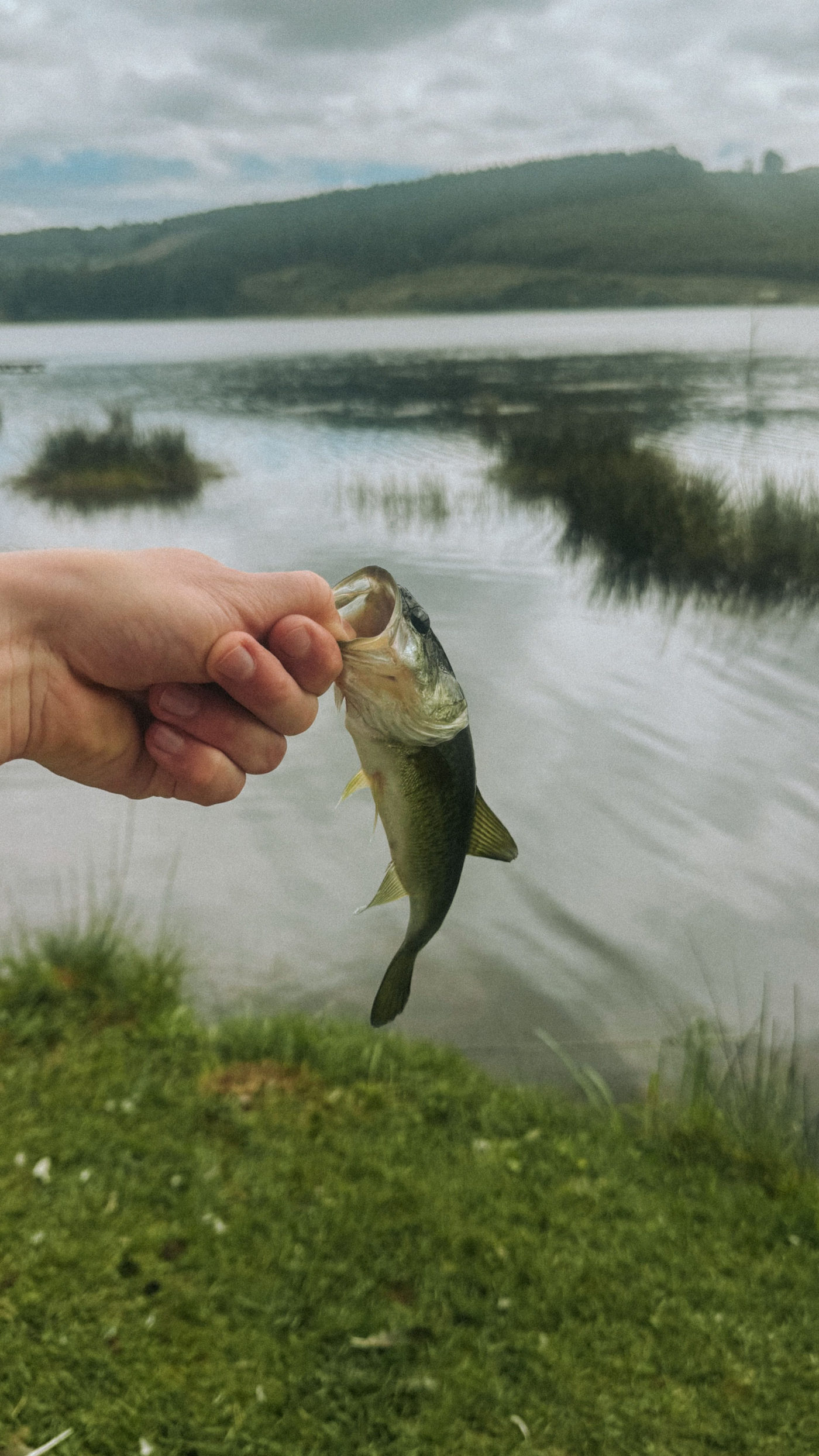 水辺で魚を手にする釣り人の写真