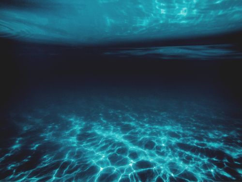 水中の暗い環境と見通しの変化を表す写真