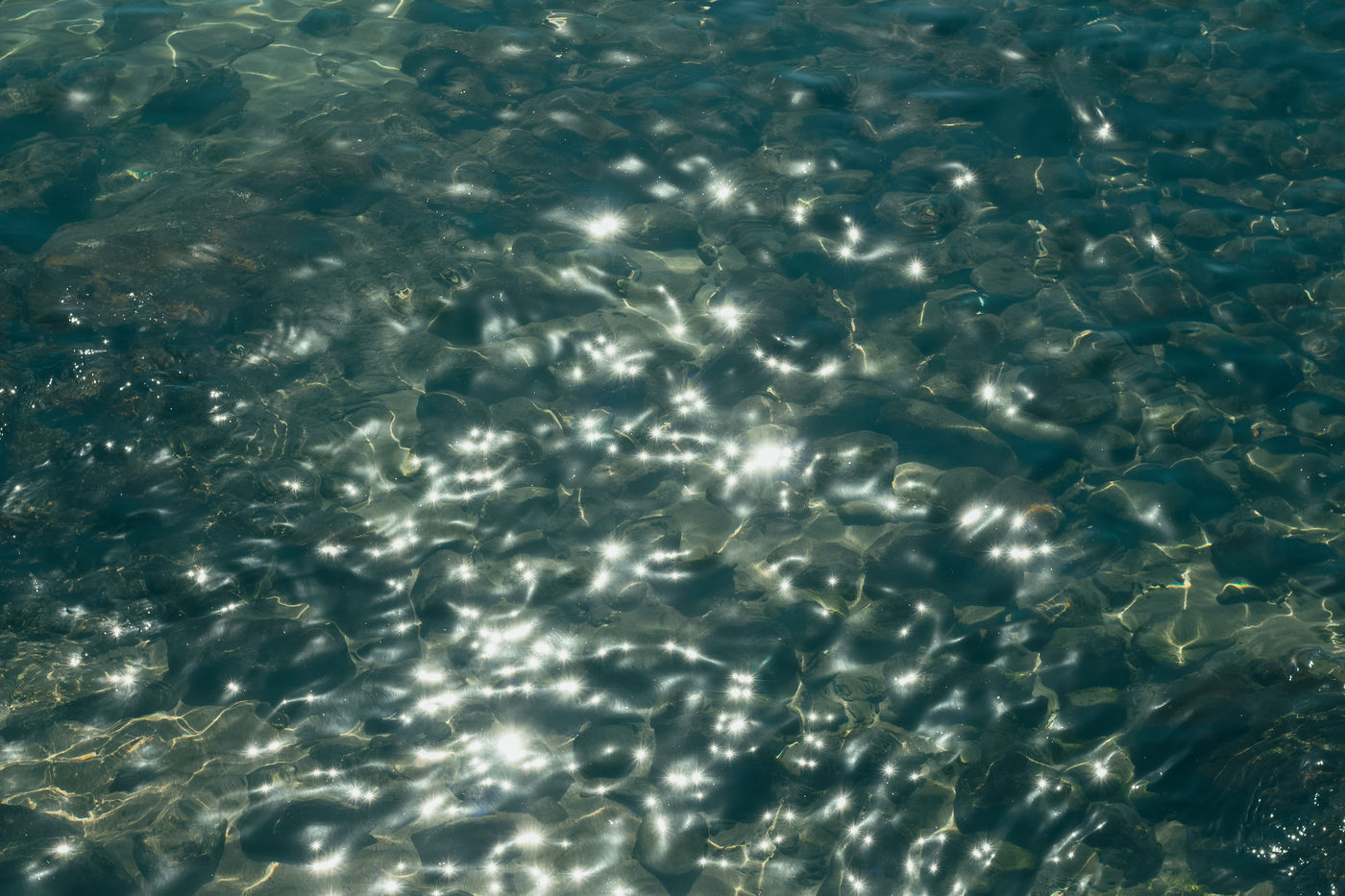 透明感のある湖面と水中の見え方を示す水質観察の写真